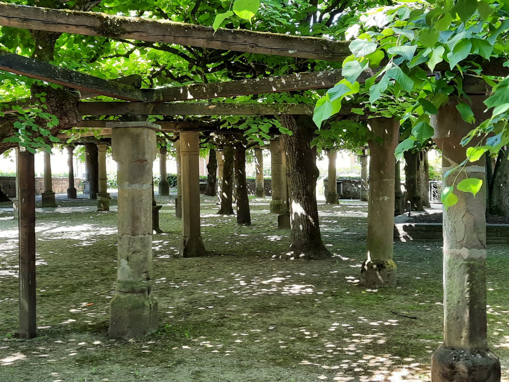 Lindenplatz in Neuenstadt am Kocher